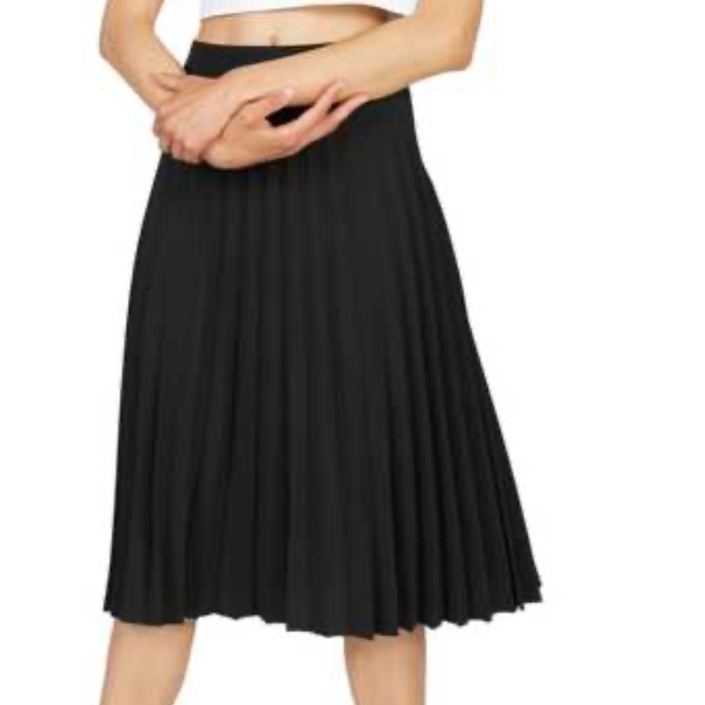 Everlane Black A-Line Pleated Midi Skirt